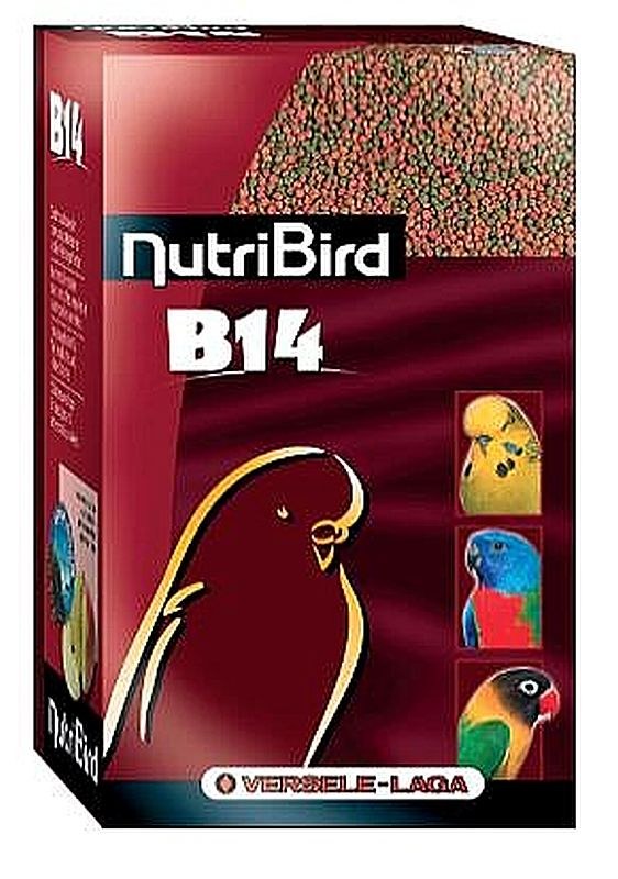 nutriBird - כופתיות B14 לתוכי קטן ורסלה