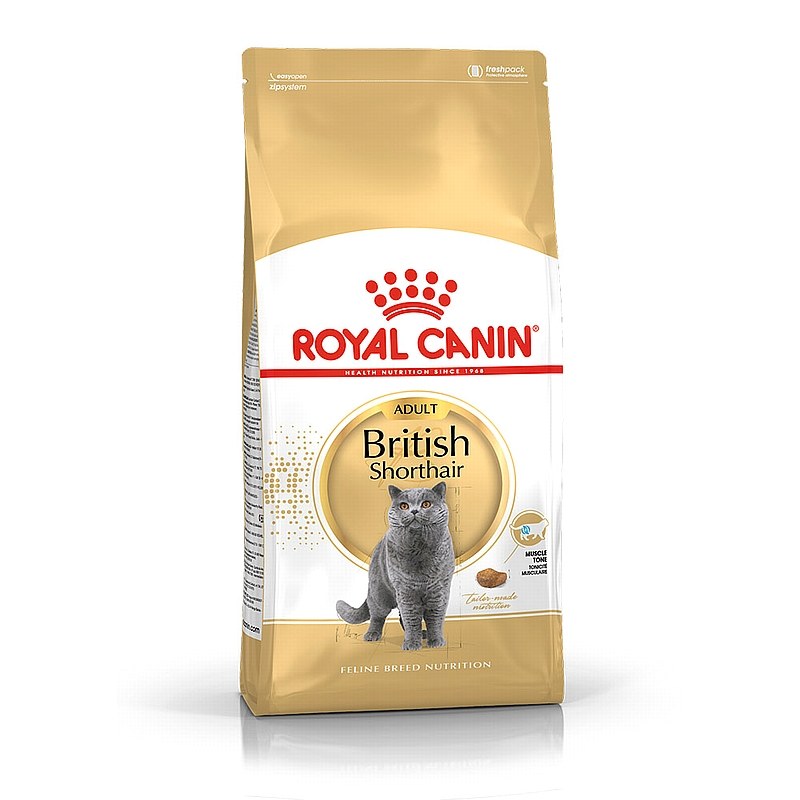 ROYAL CANIN - BRITISH shorthair רויאל קנין בריטי