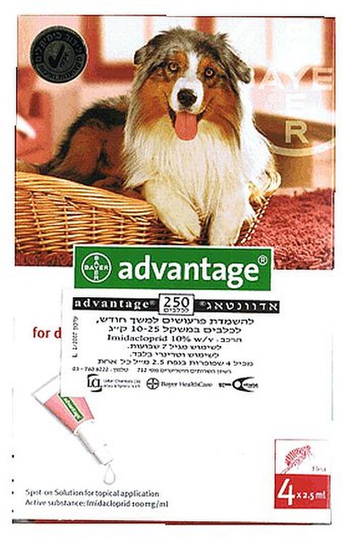 ADVANTAGE- אדוונטג' כלב בינוני.