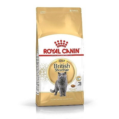 ROYAL CANIN - BRITISH shorthair רויאל קנין בריטי