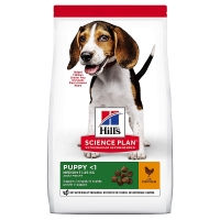 Hill's Science Plan מזון יבש לגור כלב מגזע בינוני (עם עוף), 800 גרם
