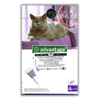 ADVANTAGE- אדוונטג' חתול מעל 4 ק"ג.